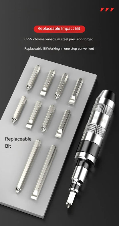 Professionele Slagschroevendraaier met Bits
