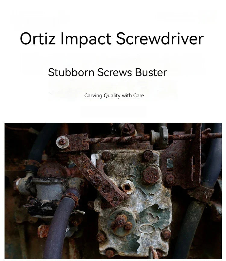 Professionele Slagschroevendraaier met Bits